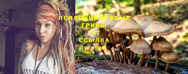 соль курить ск Алексин