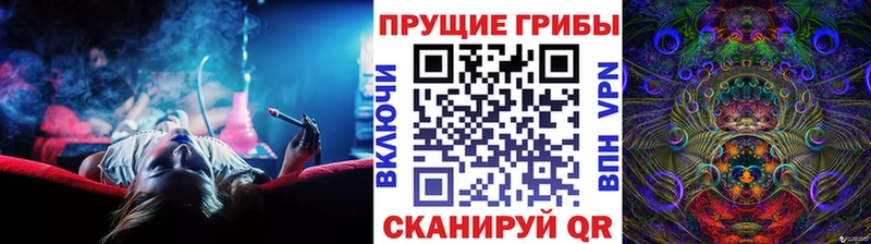 Псилоцибиновые грибы Psilocybe Лукоянов