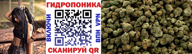 Шишки марихуана семена  Лукоянов 